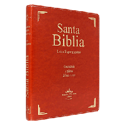 [7899938407882] Biblia Reina Valera 1960 Gigante Letra Supergigante Imitación Piel Marrón [RVR096CLSGIPJRTI]