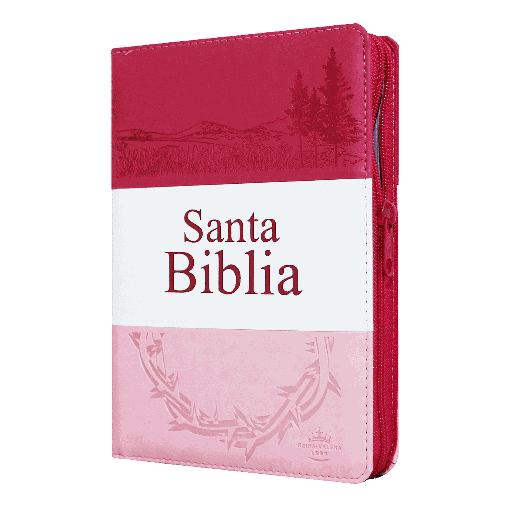 [7899938409626] Biblia Reina Valera 1960 Mediana Letra Grande Imitación Piel Fiusha Rosa Pastel [RVR056CLGPJRTIZ]