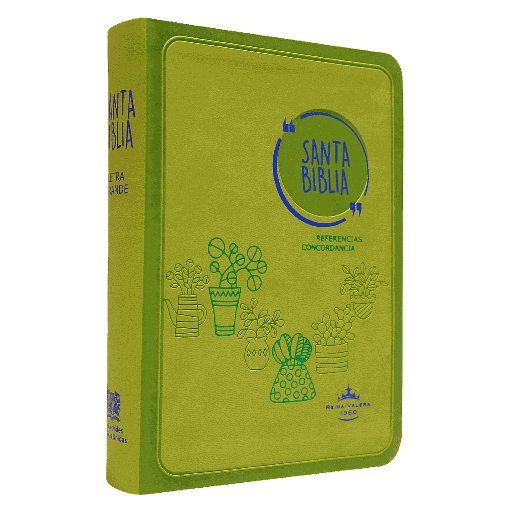 [9788941298694] Biblia Reina Valera 1960 Mediana Letra Grande Imitación Piel Verde [RVR045cLG GA]