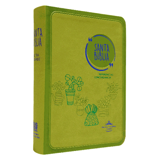 [9788941298694] Biblia Reina Valera 1960 Mediana Letra Grande Imitación Piel Verde [RVR045cLG GA]