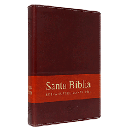 [7899938410912] BIBLIA RVR086cLSGiTIPJR MARRÓN