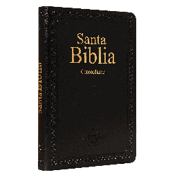 [7899938410820] Biblia Reina Valera 1960 Mediana Letra Mediana Imitación Piel Negro [RVR066ec]