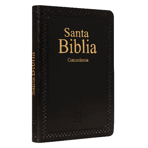 [7899938410820] Biblia Reina Valera 1960 Mediana Letra Mediana Imitación Piel Negro [RVR066ec]