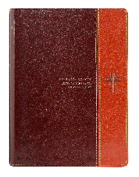 [9781496436702] Biblia de Estudio del Diario Vivir Reina Valera 1960 Letra Grande