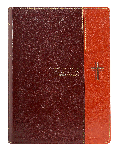 [9781496436702] Biblia de Estudio del Diario Vivir Reina Valera 1960 Letra Grande