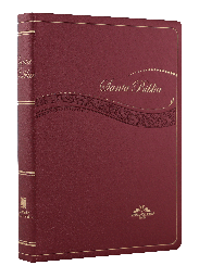 [9788941291558] Biblia Reina Valera 1909 Mediana Letra Chica Vinil Vino [VR052]