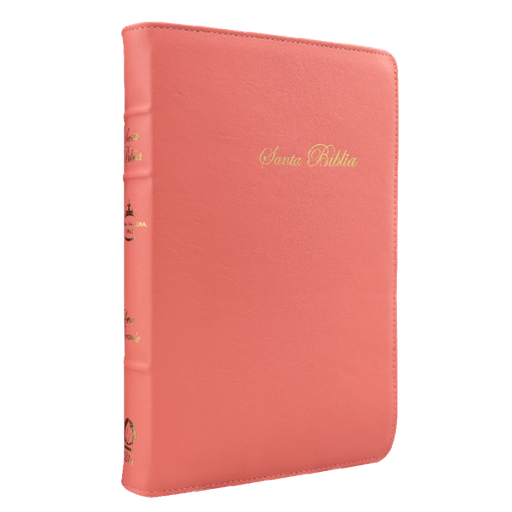 [10-601] Biblia Reina Valera 1960 Mediana Letra Grande Curpiel Rosa Palo [RVR066cLGPJRTI]