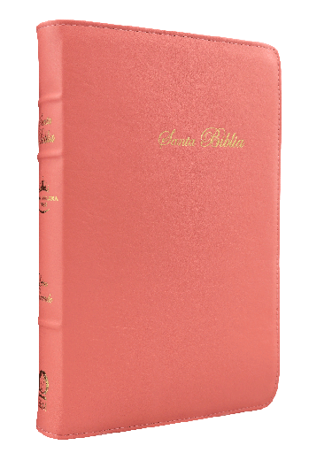 [10-601] Biblia Reina Valera 1960 Mediana Letra Grande Curpiel Rosa Palo [RVR066cLGPJRTI]