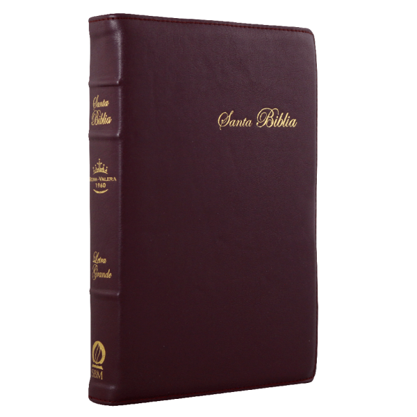 Biblia Reina Valera 1960 Mediana Letra Grande Rosa Canto Floreado