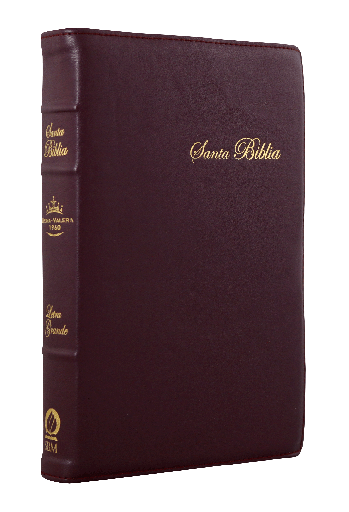 [10-602] Biblia Reina Valera 1960 Mediana Letra Grande Rosa Canto Floreado [RVR066cLPJRTI]