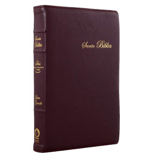 [10-602] Biblia Reina Valera 1960 Mediana Letra Grande Rosa Canto Floreado [RVR066cLPJRTI]