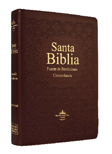 [7899938400906] Biblia Fuente de Bendiciones Reina Valera 1960 Chica Letra Mediana Vinil Vino [RVR042cLMFB]