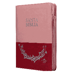 [7899938412329] BIBLIA RVR066cLGPJRTIZ-ABS ROSA DUOTONO
