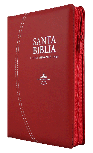 [7899938413371] Biblia Reina Valera 1960 Mediana Letra Gigante Imitación Piel Rojo [RVR066cLSGiPJRZTI]