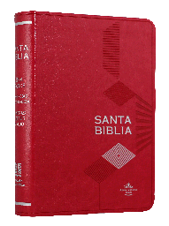 [9788941293361] Biblia Reina Valera 1960 Chica Letra Mediana Imitación Piel Rosa [RVR045cLGPJRMDM]