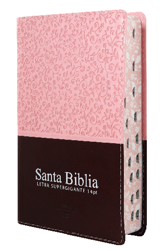 [7899938412626] Biblia Reina Valera 1960 Mediana Letra Gigante Imitación Piel Rosa Marrón [RVR066cLSGiPJRTI]