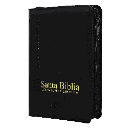 [7899938412619] Biblia Reina Valera 1960 Chica Letra Grande Imitación Piel Negro [RVR046cLSGiPJRTI ]