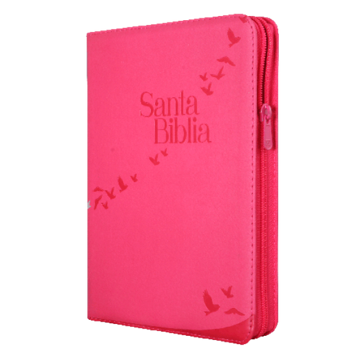 [9789587457155] Biblia Reina Valera 1960 Grande Letra Gigante Imitación Piel Rosa Código QR [RVR086cZTILGiPJR]