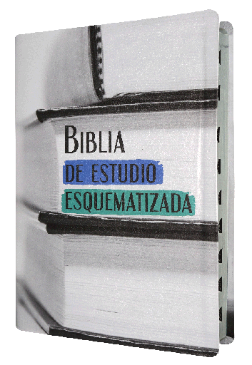 [9781598778311] Biblia de Estudio Esquematizada Reina Valera 1960 Grande Letra Mediana Imitación Piel [RVR086EEcTI]