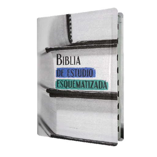 [9781598778311] Biblia de Estudio Esquematizada Reina Valera 1960 Grande Letra Mediana Imitación Piel [RVR086EEcTI]