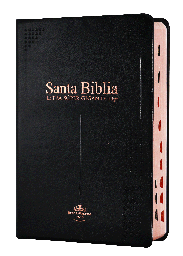 [7899938416785] Biblia Reina Valera 1960 Mediana Letra Gigante Vinil Negro [RVR062cLSGIPJRTI]