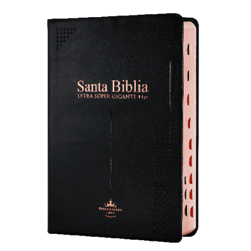 [7899938416785] Biblia Reina Valera 1960 Mediana Letra Gigante Vinil Negro [RVR062cLSGIPJRTI]
