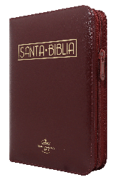 [9789587456875] Biblia Reina Valera 1960 Chica Letra Mediana Imitación Piel Vino tinto Código QR [RVR045cZLMaPJR]