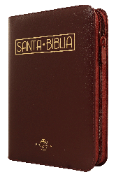 [9789587456516] Biblia Reina Valera 1960 Mediana Letra Grande Imitación Piel Vino Tinto Código QR [RVR055cZTILGaPJR]