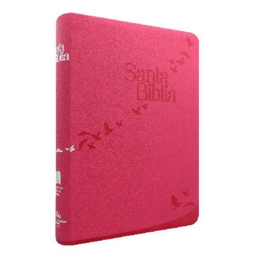 [9789587457063] Biblia Reina Valera 1960 Grande Letra Gigante Imitación Piel Rosa Código QR [RVR086cLGiPJR]