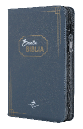 [9789587456332] Biblia Reina Valera 1960 Mediana Letra Grande Imitación Piel Gris Código QR [RVR065cZLGPJR]