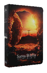 [7899938417881] Biblia Reina Valera 1960 Mediana Letra Gigante Rústica Piedra [RVR060cLSGiPJRPTS]