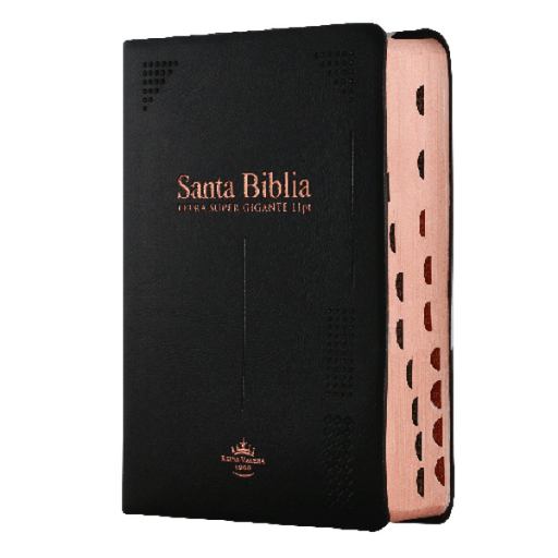 [7899938416761] Biblia Reina Valera 1960 Chica Letra Grande Vinil Negro [RVR042cLGiPJRTI]