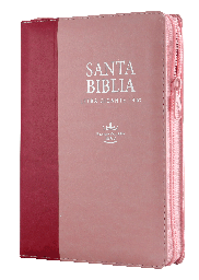 [7899938413432] Biblia Reina Valera 1960 Mediana Letra Gigante Imitación Piel Rosa Rosa [RVR066cLSGiPJRZTI]