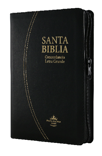 [7899938412343] Biblia Reina Valera 1960 Mediana Letra Grande Imitación Piel Negro [RVR066cLGPJRTIZABS]