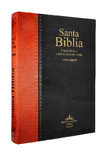 [7899938412596] Biblia Reina Valera 1960 Grande Letra Gigante Rústica Negro Marrón [RVR080cLGiPJR]