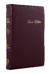 [10-603] Biblia Reina Valera 1960 Mediana Letra Grande Morado Canto Floreado [RVR066cLPJRTI]