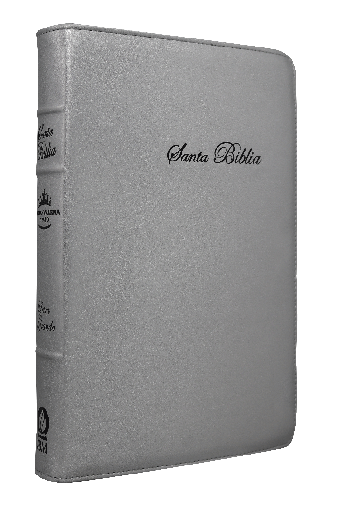 [10-606] Biblia Reina Valera 1960 Mediana Letra Grande Curpiel Plata [RVR066cLGPJRTI]