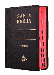 [7899938402764] Biblia Reina Valera 1960 Tamaño Bolsillo Letra Chica Vinil Negro [RVR022cLGTI]