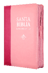 [7899938413425] Biblia Reina Valera 1960 Chica Letra Grande Imitación Piel Rosa Rosa [RVR046cLSGIPJRZTIPU]