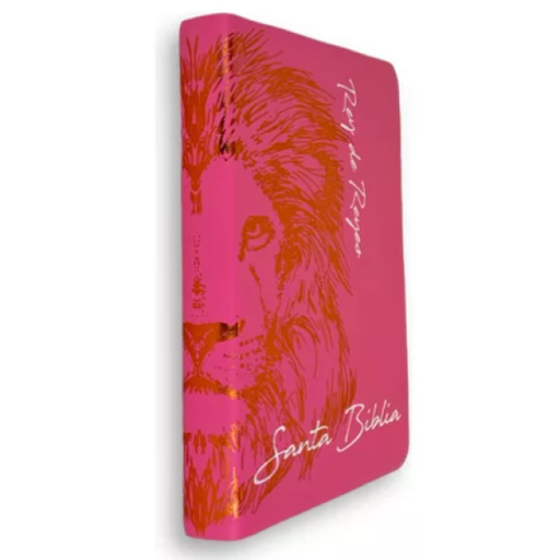 [7899938419175] Biblia Reina Valera 1960 Letra Grande Rosa [RVR062cLGPJR]