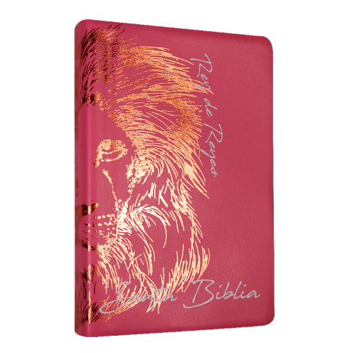 [7899938419175] Biblia Reina Valera 1960 Letra Grande Rosa [RVR062cLGPJR]