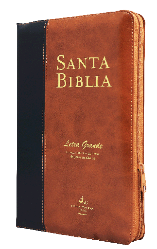 [9781598778779] Biblia Reina Valera 1960 Mediana Letra Grande Imitación Piel Marrón - Negro [RVR065cPJRZTI]