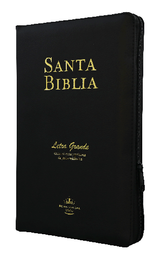 [9781598778786] Biblia Reina Valera 1960 Mediana Letra Grande Imitación Piel Negro [RVR065cPJRZTI]