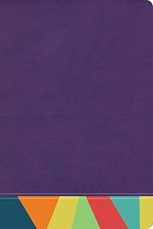 [9781087706054] Biblia de Estudio Arco Iris Reina Valera 1960 Semi Piel Morado/Multicolor
