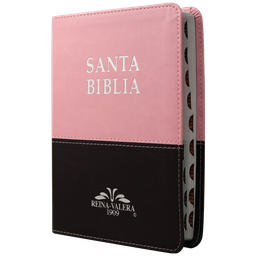 [9788941261278] Biblia Reina Valera 1909 Mediana Rosa/Café VR055TI