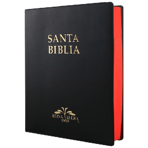 [9788941261308] Biblia Reina Valera 1909 Grande Negro [VR082LM]