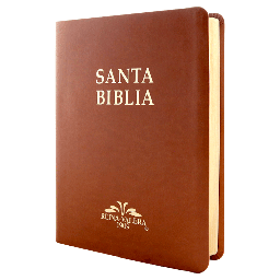[9788941261339] Biblia Reina Valera 1909 Grande Café [VR085LM]