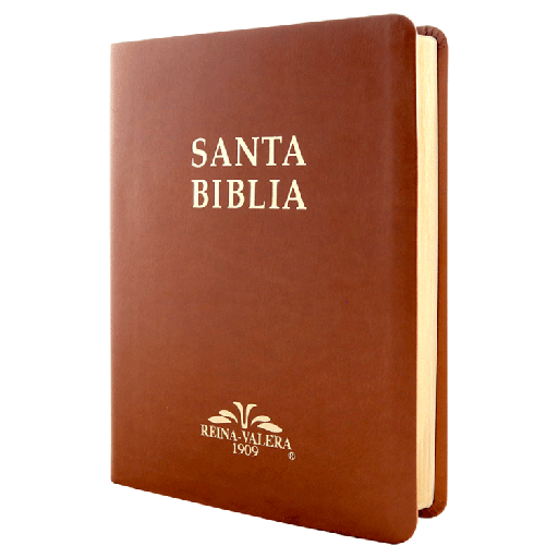 [9788941261339] Biblia Reina Valera 1909 Grande Café [VR085LM]