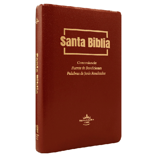 [7899938420508] Biblia Fuente de Bendiciones Reina Valera 1960 Mediana Letra Mediana Imitación Piel Vino [RVR.65uecFBPJR]