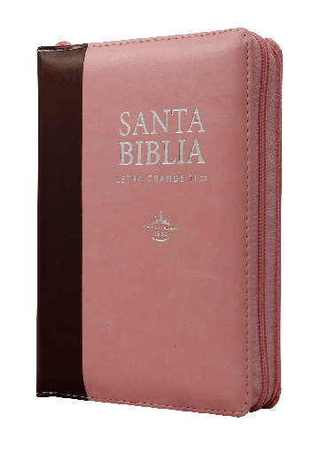 [7899938413487] Biblia Reina Valera 1960 Chica Letra Grande Imitación Piel Rosa Marrón [RVR046cZTILSGiPJR]